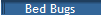 Bed Bugs