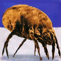 bug02